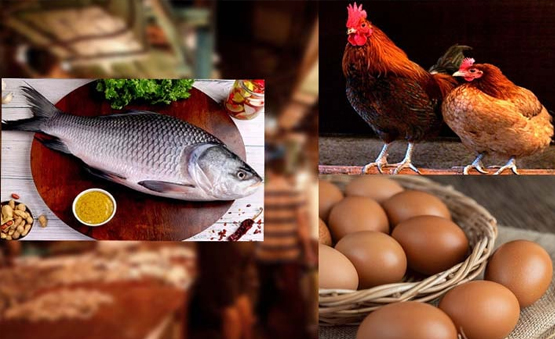 সপ্তাহের ব্যবধানে বেড়েছে মাছ-মুরগির দাম