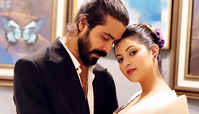 রাজ-পরীর বিবাহ বিচ্ছেদ